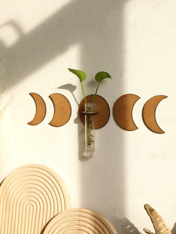5 Maceteros de pared para plantas de interior QUIERODECO